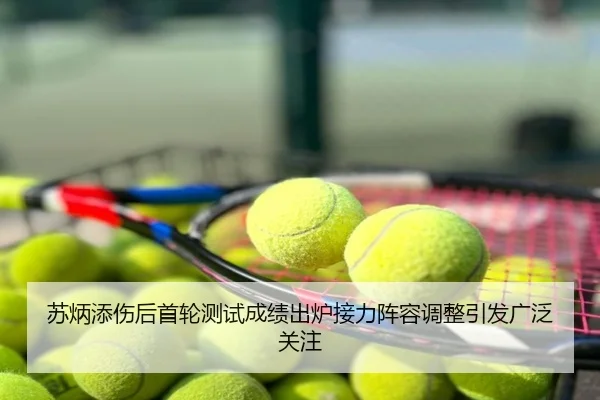 苏炳添伤后首轮测试成绩出炉接力阵容调整引发广泛关注