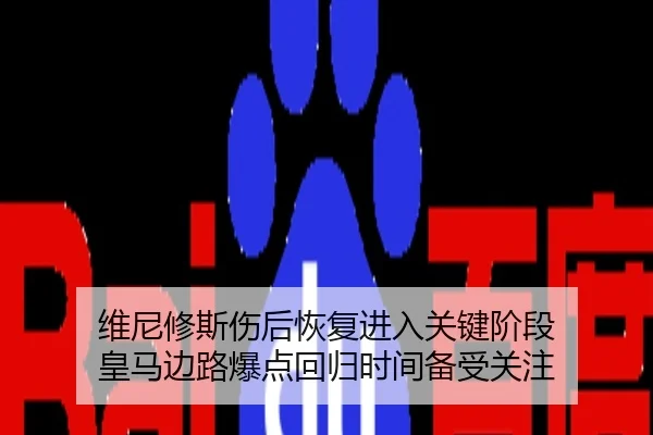 维尼修斯伤后恢复进入关键阶段 皇马边路爆点回归时间备受关注